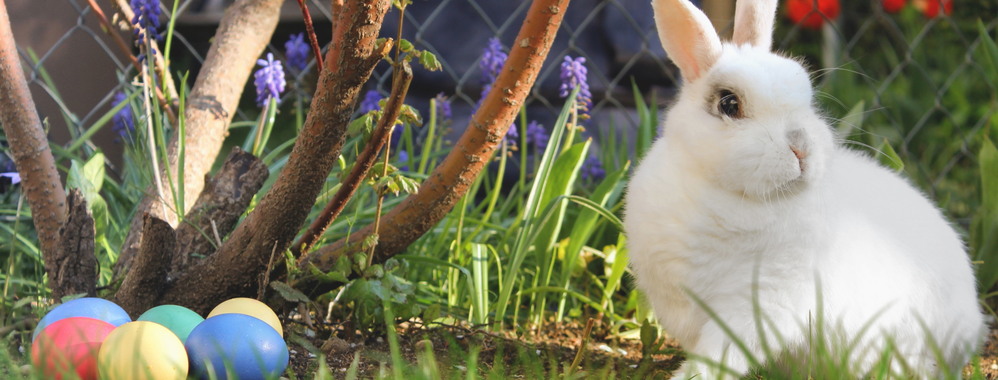 Priecīgas Lieldienas!